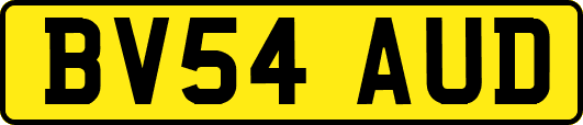BV54AUD