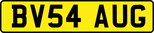 BV54AUG