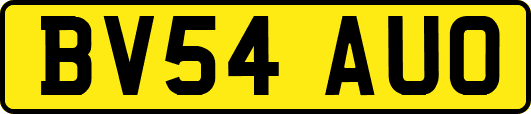 BV54AUO