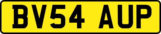 BV54AUP