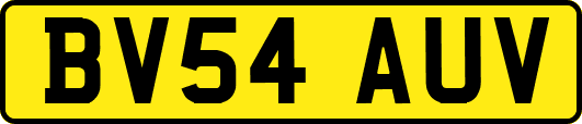 BV54AUV