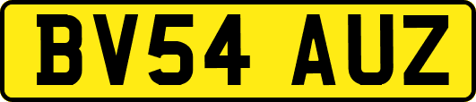 BV54AUZ