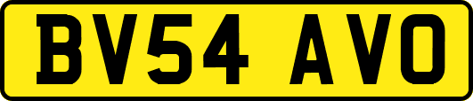 BV54AVO