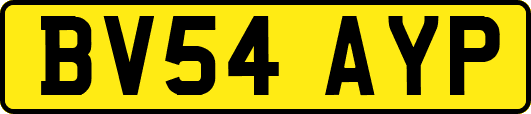BV54AYP