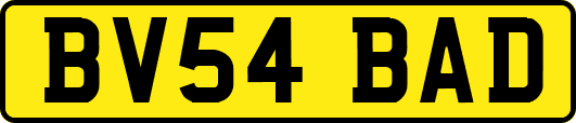 BV54BAD