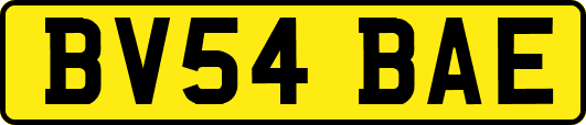 BV54BAE