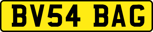 BV54BAG