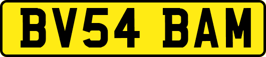 BV54BAM