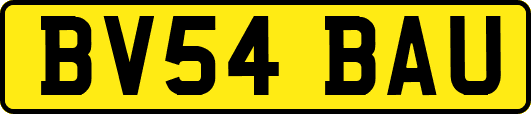 BV54BAU