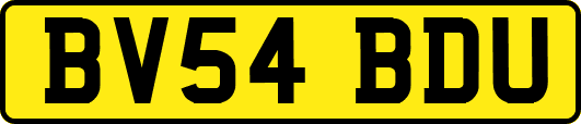 BV54BDU