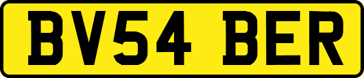 BV54BER