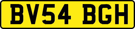 BV54BGH