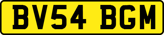 BV54BGM