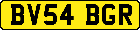 BV54BGR