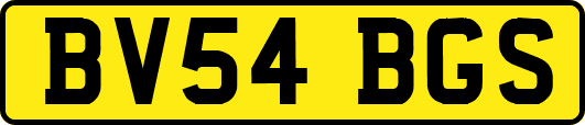 BV54BGS