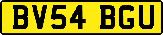 BV54BGU