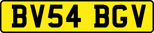 BV54BGV