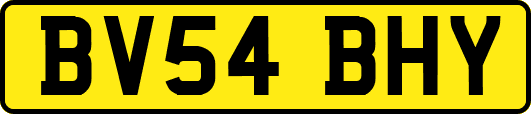 BV54BHY