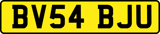 BV54BJU