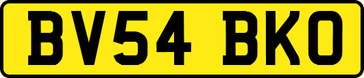 BV54BKO