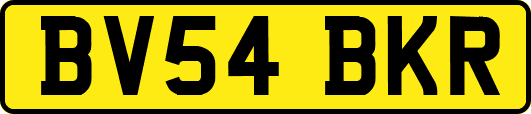 BV54BKR