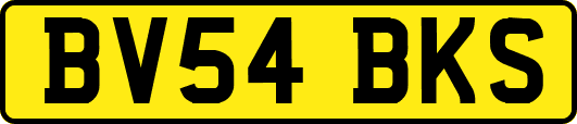 BV54BKS
