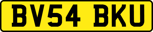 BV54BKU