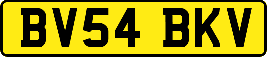 BV54BKV
