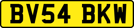 BV54BKW