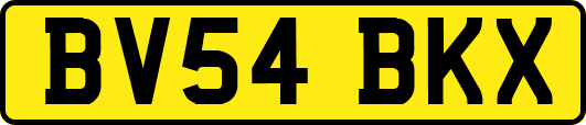 BV54BKX
