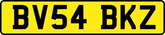 BV54BKZ