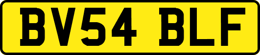 BV54BLF