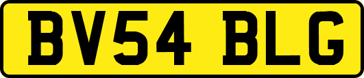BV54BLG
