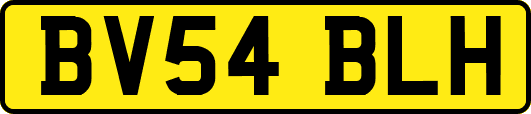 BV54BLH