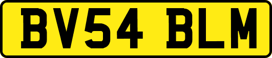 BV54BLM