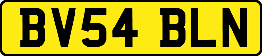 BV54BLN