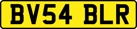 BV54BLR