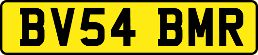 BV54BMR