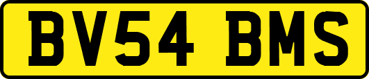 BV54BMS