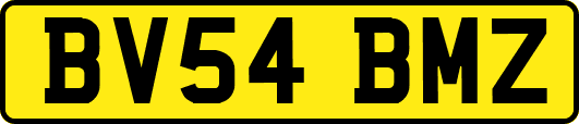 BV54BMZ
