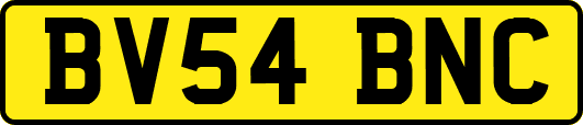 BV54BNC