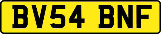 BV54BNF