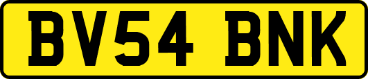BV54BNK