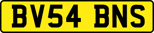 BV54BNS