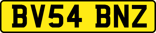 BV54BNZ