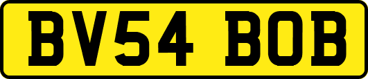 BV54BOB