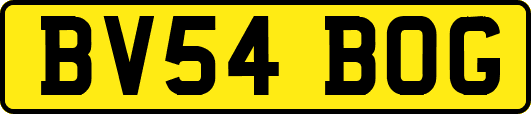 BV54BOG