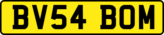 BV54BOM