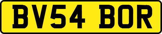 BV54BOR