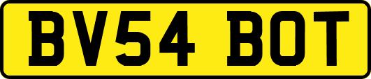 BV54BOT